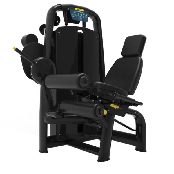 ARGO Fitness   ARGO Fitness Leg Curl image