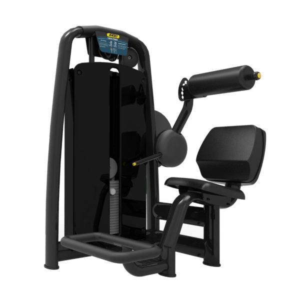 ARGO Fitness   Back Extension image