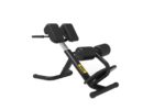 ARGO Fitness   Hyperextension Roman Chair | AF S6B11 image
