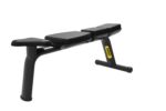 ARGO Fitness   Flat Bench gym equipment image