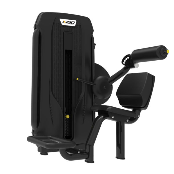 ARGO Fitness   Back Extension image