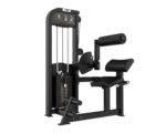 ARGO Fitness   Back Extension | AF S8W10 image