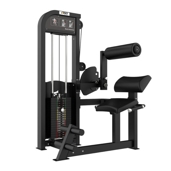 ARGO Fitness   Back Extension | AF S8W10 image