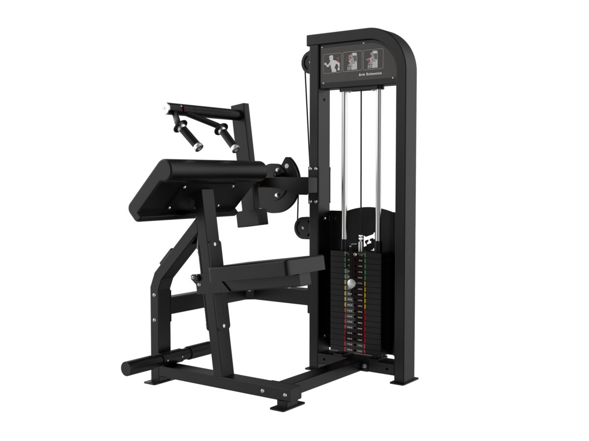 ARGO Fitness   Triceps Extension | AF S8W13 image