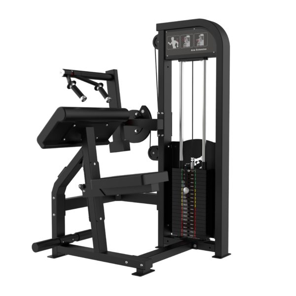 Triceps Extension | AF-S8W13 image
