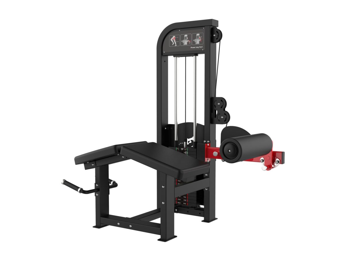 ARGO Fitness   Prone Leg Curl | AF S8W26 image