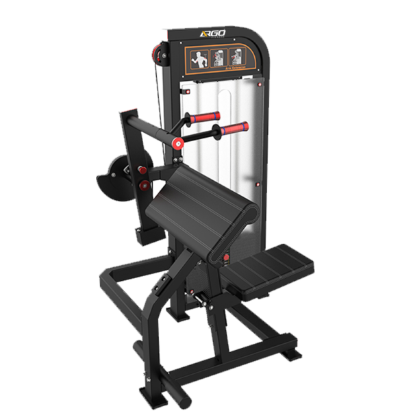 Triceps Extension series 8 image