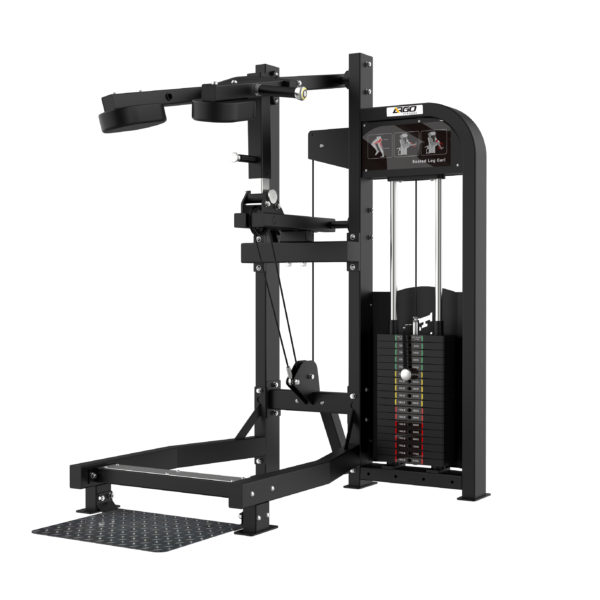 ARGO Fitness   Standing Calf Raise | AF S8W29 image