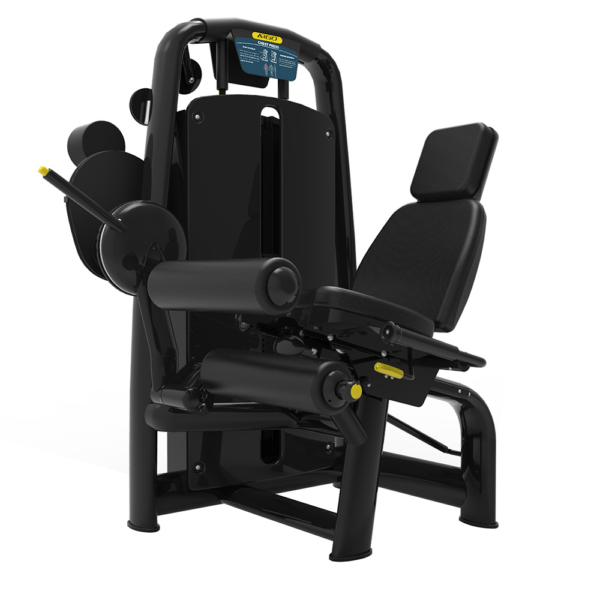 Argo Fitness Series 6 gym equipment leg curl leg extension image