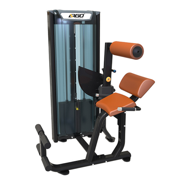 Back Extension gym equipment image