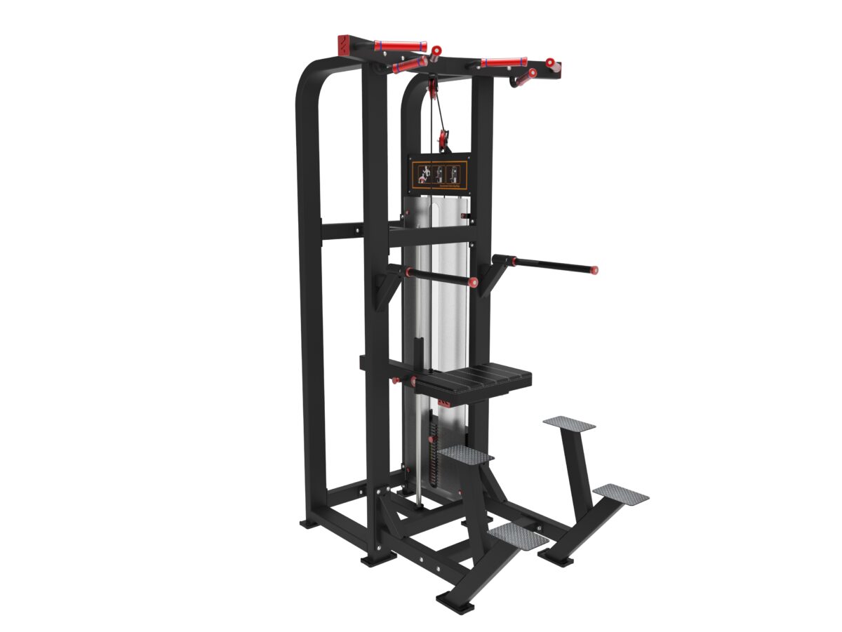 ARGO Fitness   Series 8 assisted chin up dip